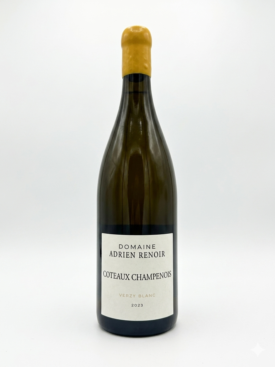 Domaine Adrien Renoir - Coteaux champenois verzy blanc 2023 - Blanc 75cl